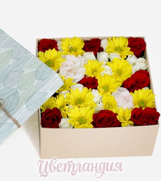 Бокс "Августа"