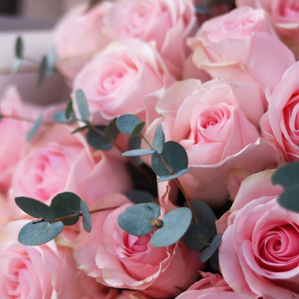 17 нежно - розовых роз